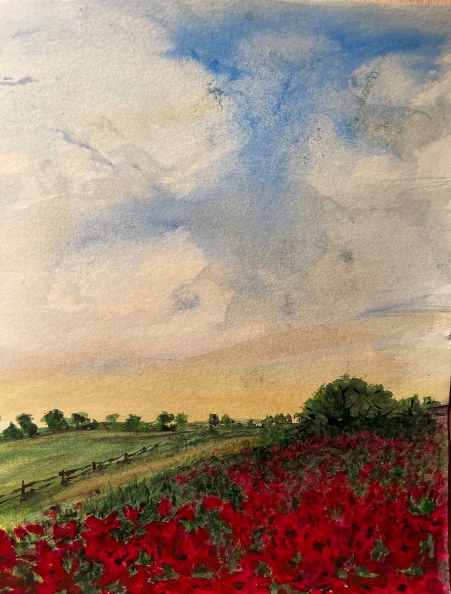 Landschaft mit Mohnfeld