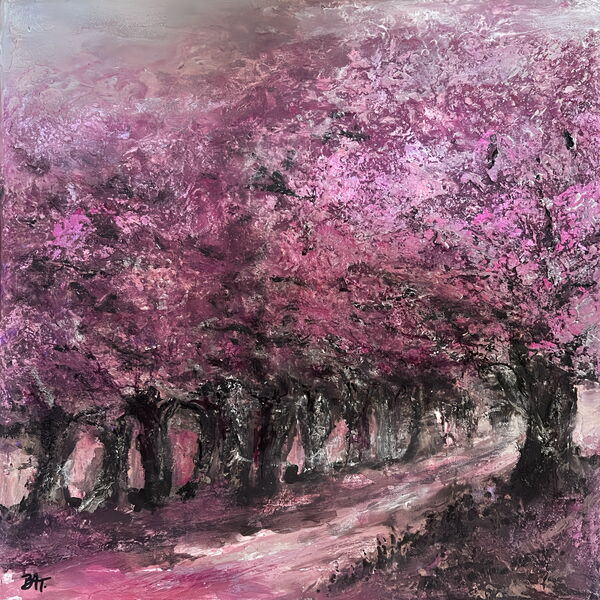 Cherry Blossom Alley