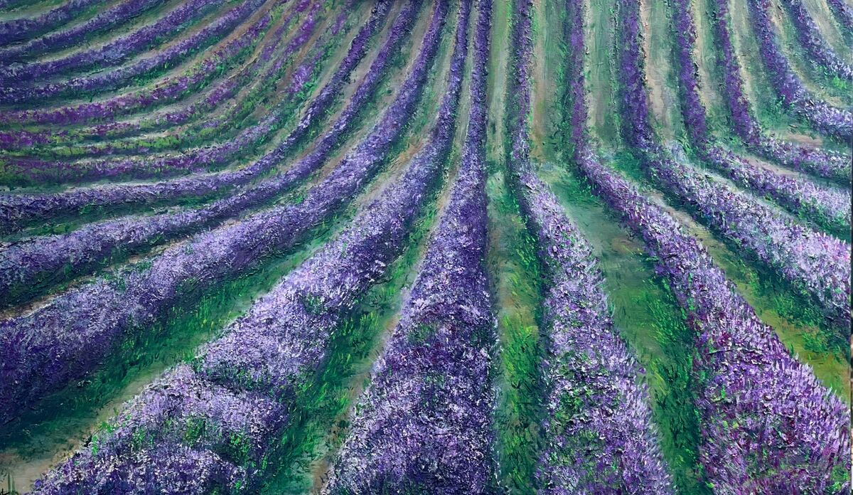 Lost in Lavender